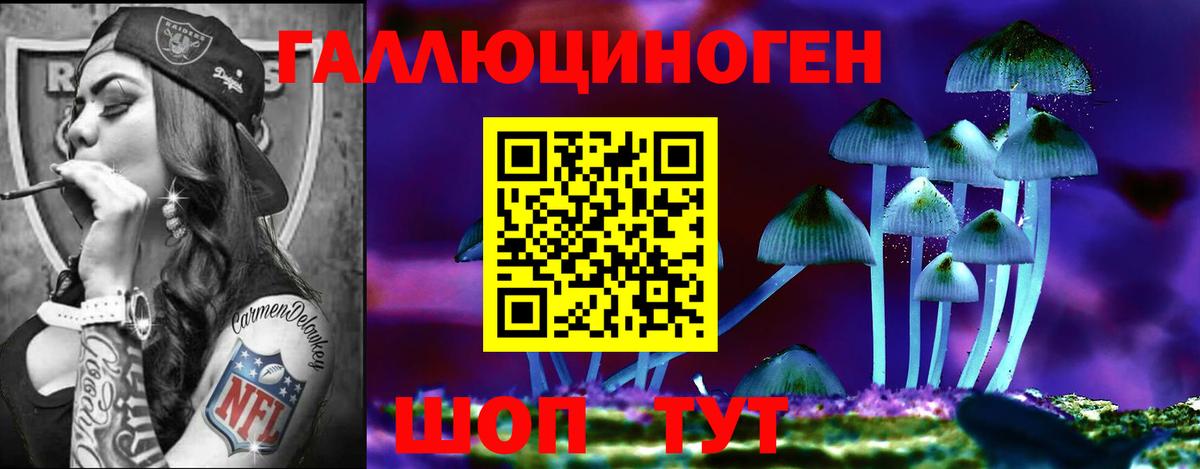 закладка  Вход с VPN  Южно-Сахалинск  Псилоцибиновые грибы Psilocybe  Псилоцибиновые грибы Magic Shrooms 